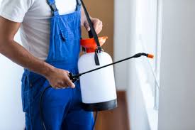 Best Fumigation Services  in Mammoth Spring, AR